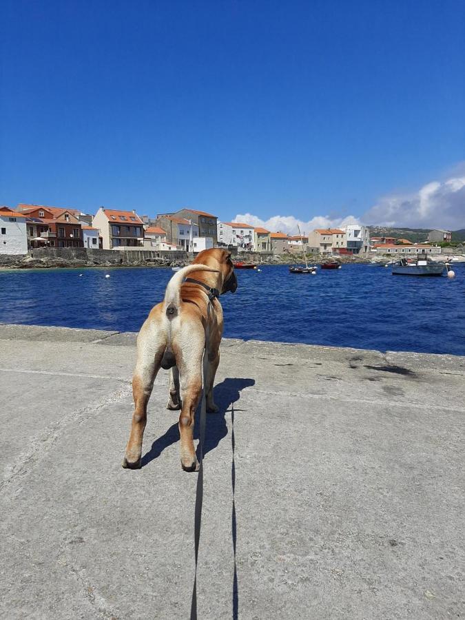 Dunas De Corrubedo ريبيرا المظهر الخارجي الصورة